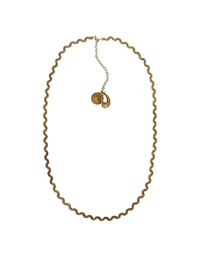 Etro Long Waves Necklace With Charms In Golden