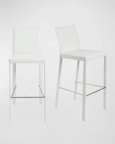 Euro Style Hasina Counter Stool, Set Of 2 In White