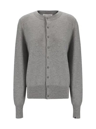 Extreme Cashmere Cardigan In Grey