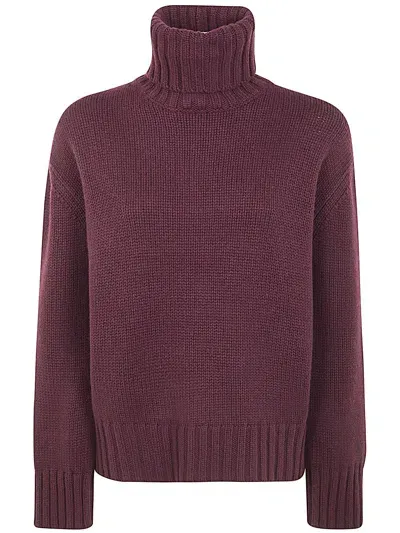 Fabiana Filippi Turtleneck Long Sweater In Pink & Purple