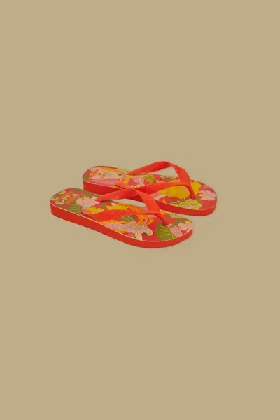 Farm Rio Active Farm Ararinhas Havaianas Sandals In Multi