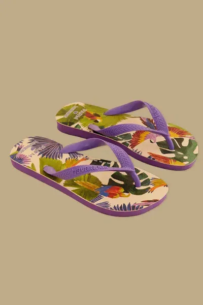 Farm Rio Active Farm Passaros Pintados Havaianas Sandals In Purple