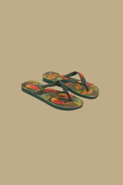 Farm Rio Farm Tuca Havaianas Sandals In Green