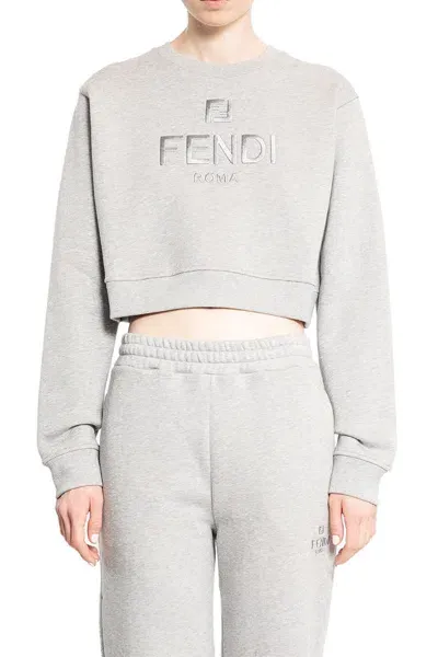 Fendi Crewneck In Grey