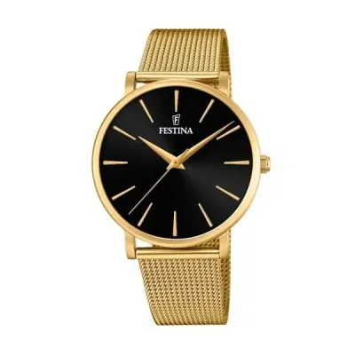 Festina Watches Mod. F20476/2 In Gold