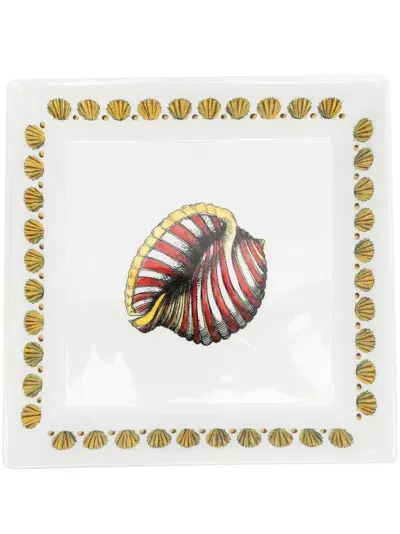 Fornasetti Giro Di Conchiglie Plate In Weiss