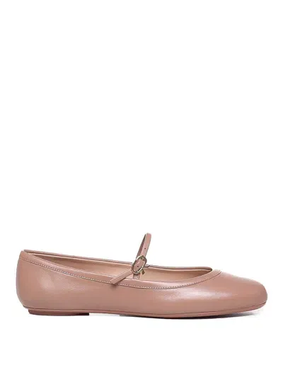 Gianvito Rossi Black Calfskin Ballet Flats In Brown