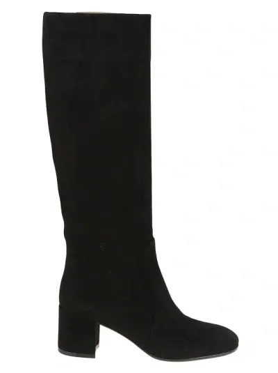 Gianvito Rossi Glen 60 Suede Knee Boots In Black