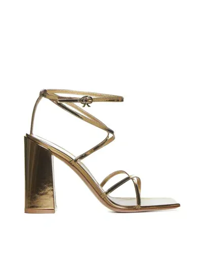 Gianvito Rossi Sandals In Mekong