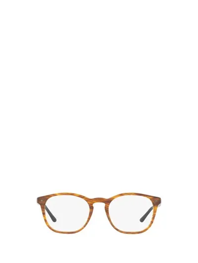 Giorgio Armani Eyeglasses In Matte Striped Light Brown