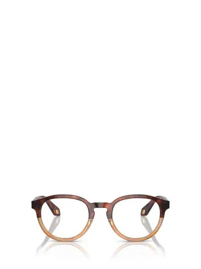 Giorgio Armani Eyeglasses In Red Havana / Honey Havana