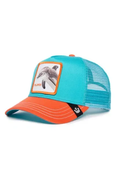 Goorin Bros . Dolphin Fan Embroidered Patch Trucker Hat In Turquoise