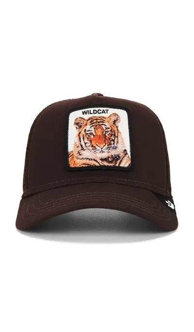 Goorin Brothers The Wildcat Tiger Hat In Brown