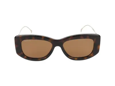 Gucci Eyewear In Havana Gold Brown