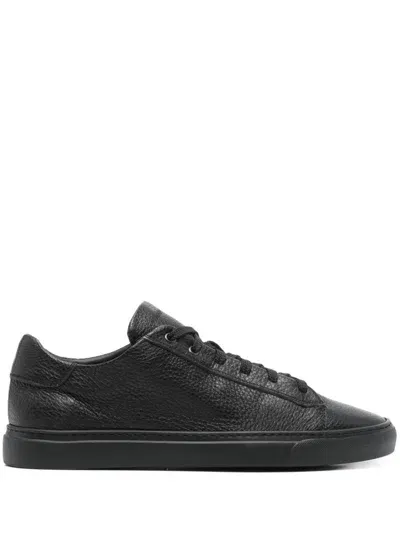 Harrys Of London Thomas P Sneakers In Black