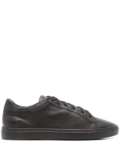 Harrys Of London Thomas P Sneakers In Brown