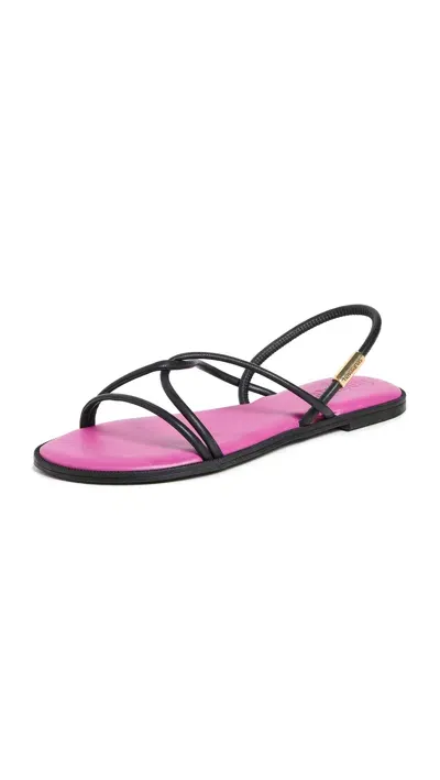 Havaianas Una Manga Dark Purple Sandals Purple Soil