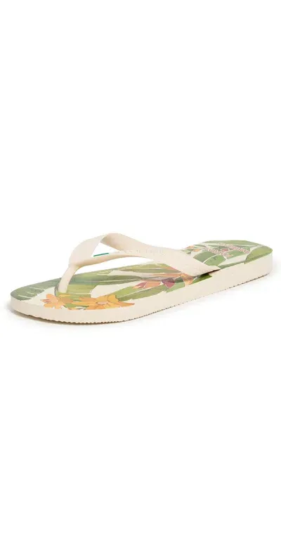 Havaianas X Farm Rio Flip Flops Parrot Hibiscus