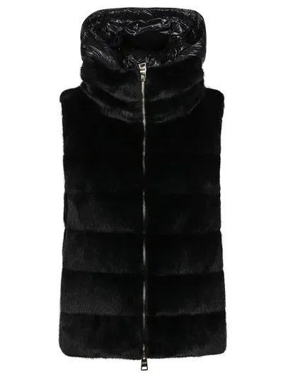 Herno Coat In Black