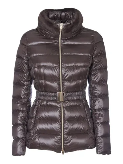 Herno Down Jacket In Brown