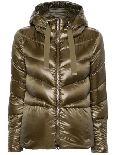 Herno Hooded Puffer Jacket In Green