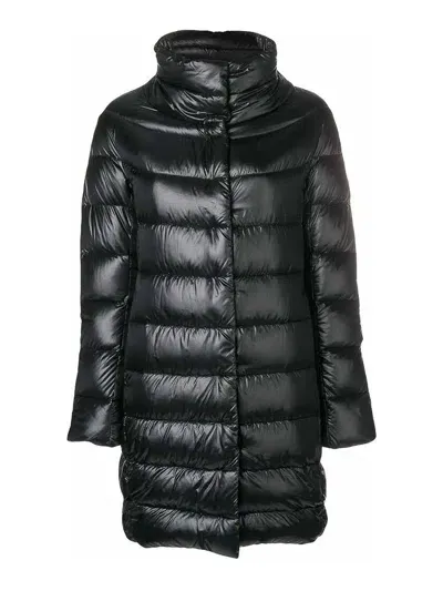 Herno Padded Jacket In Black