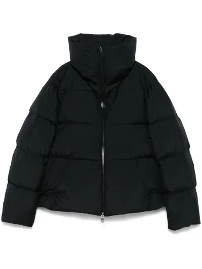 Herno Padded Jacket In Black