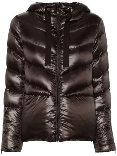 Herno Quilted Puffer Jacket In Brown