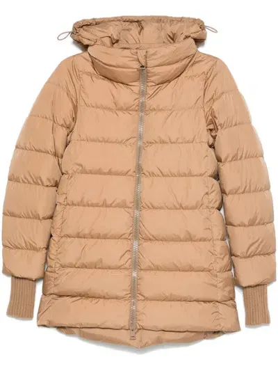 Herno Quilted Puffer Jacket In Brown