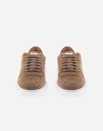 Herno Suede Trainers In Camel