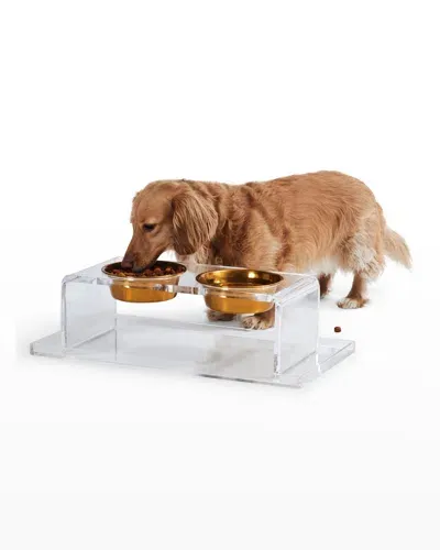 Hiddin Small Clear Double Pet Bowl Feeder With 1 Pint Gold Bowls In Clear/gold