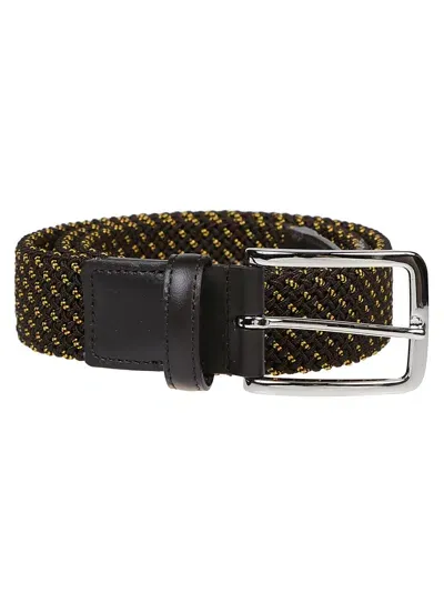 Hogan Elastic Tape Belt In Testa Moro/cacao