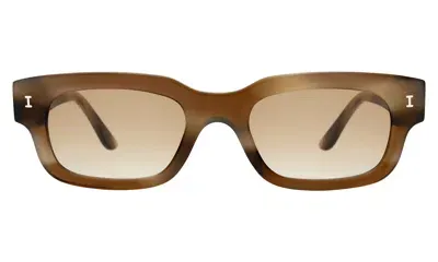 Illesteva Cali E Sunglasses In Brown