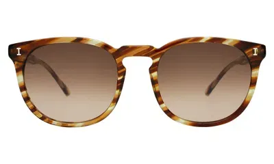 Illesteva Eldridge 56 Sunglasses In Brown