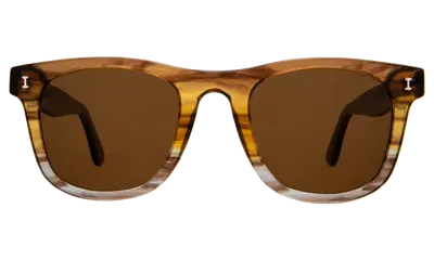 Illesteva James Sunglasses In Brown