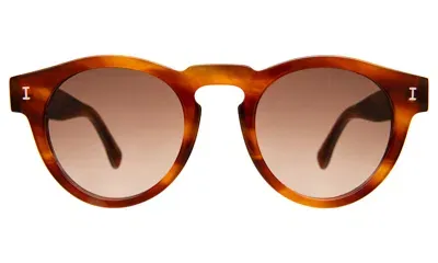 Illesteva Leonard Sunglasses In Brown