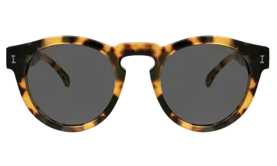 Illesteva Leonard Sunglasses In Brown