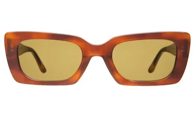 Illesteva Nk X  Wilson Sunglasses In Red Havana / Honey Flat See Through