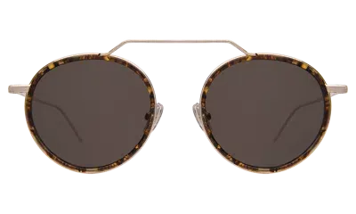 Illesteva Wynwood Ace Sunglasses In Brown