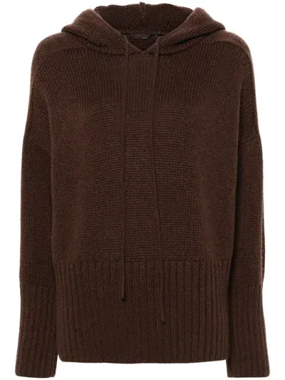 Incentive! Cashmere Cashmere Hoodie In Brown