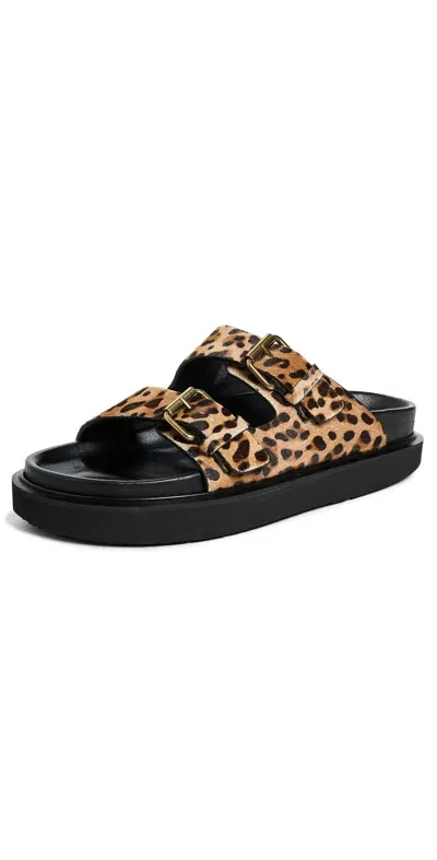 Isabel Marant Lennya Sandals Leopard In Brown