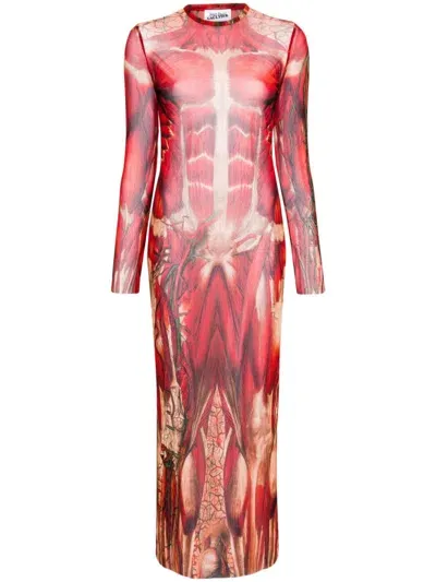 Jean Paul Gaultier Écorché-print Tulle Maxi Dress In Multicolor