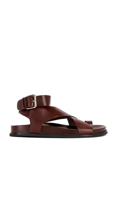 Jeffrey Campbell Hvar Sandal In 다크 브라운