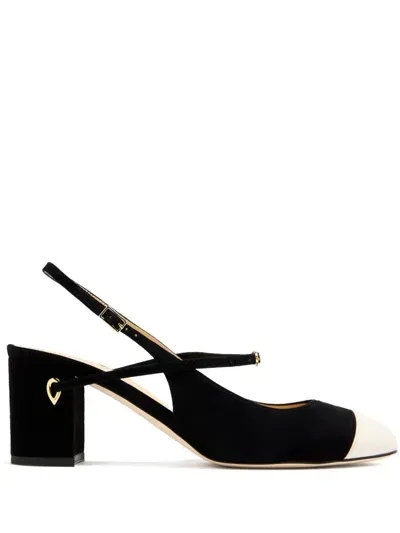 Jennifer Chamandi 65mm Mattia Pumps In Black