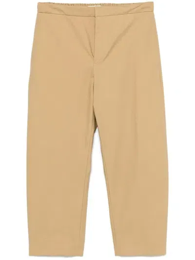 Jil Sander Tapered Trousers In Brown