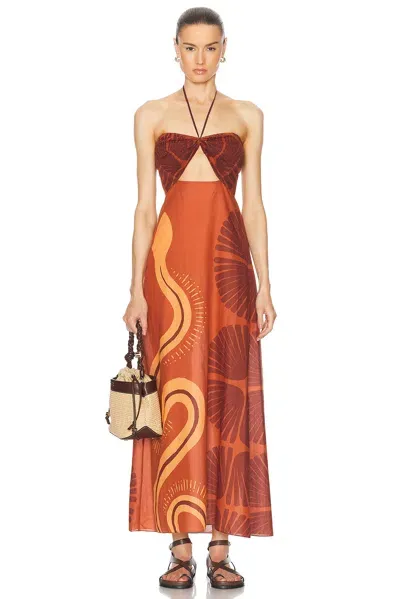 Johanna Ortiz Mother Of All Waters Maxi Dress In Red/multi