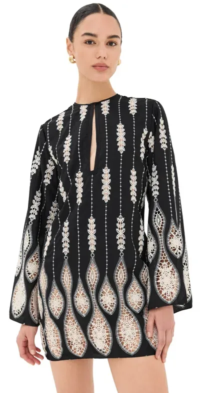 Johanna Ortiz Vision Seeking Embroidered Lace Mini Dress In Black