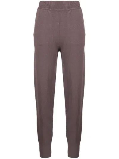 Joseph Knitted Track Pants In Brown