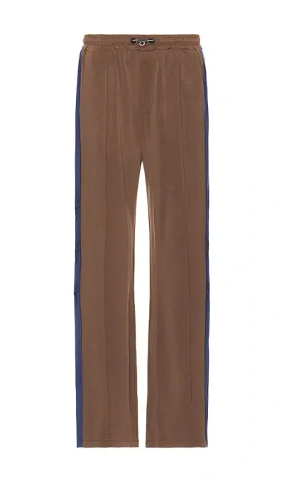 Jungles Flies Scuba Track Pant In Brown