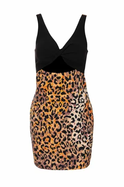 Just Cavalli Cady Leopard-print Mini Dress In Black